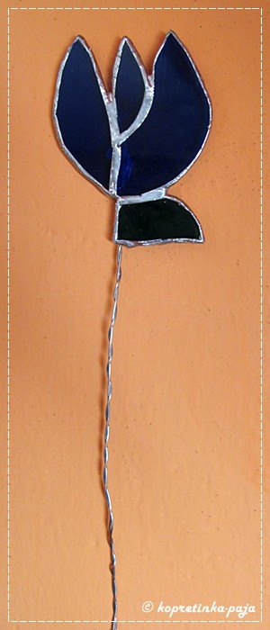 tulipn