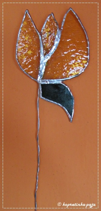tulipn