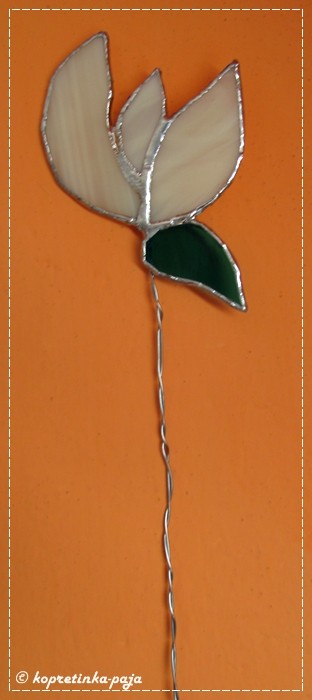 tulipn